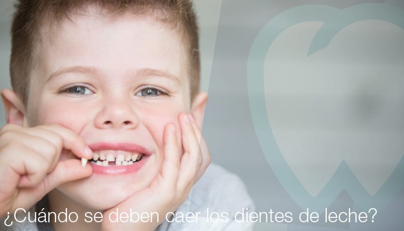 ¿Cuándo se deben caer los dientes de leche? | Dentistas en Palma de Mallorca